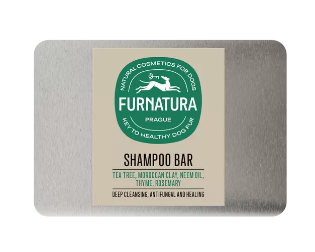 bar-greasy-cz.png photo